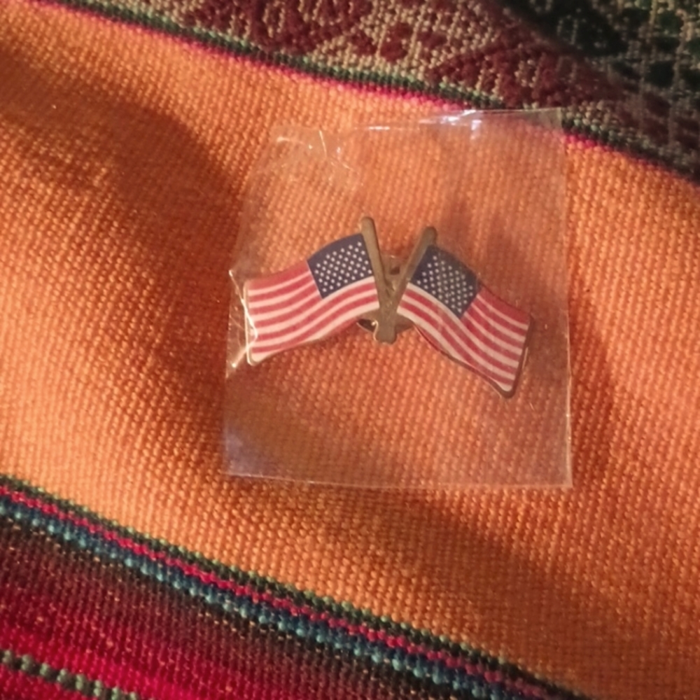 Double US Flag pin